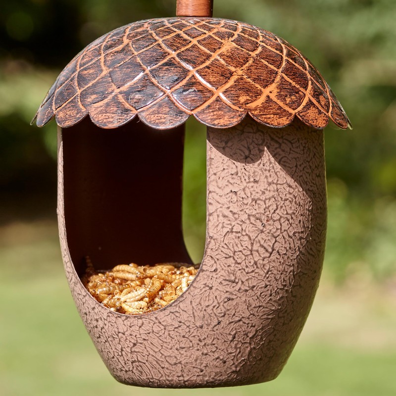 Peckish Metal Acorn Bird Feeder