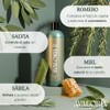 Shampoo Sin Sulfatos, Parabenos ni Sales – Anticaída con Romero