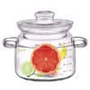 Jjojcll 2.3L(75oz) Glass Cooking Pot with Lid,Handmade Borosilicate Glass Stockpot