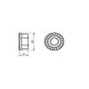 M6 - A4 (T316) Stainless Steel Serrated Flange Nut -