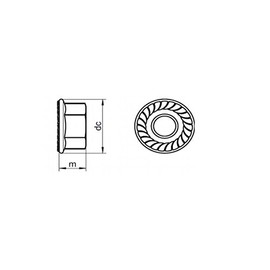 M6 - A4 (T316) Stainless Steel Serrated Flange Nut - DIN 6923 Pack Size : 20