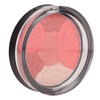 Sedell Multi Blush Powder-03, Multicolor, 8 g