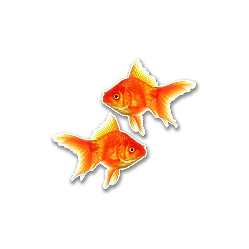 2 x 10cm Goldfish Vinyl Sticker Decal Laptop Kids Car