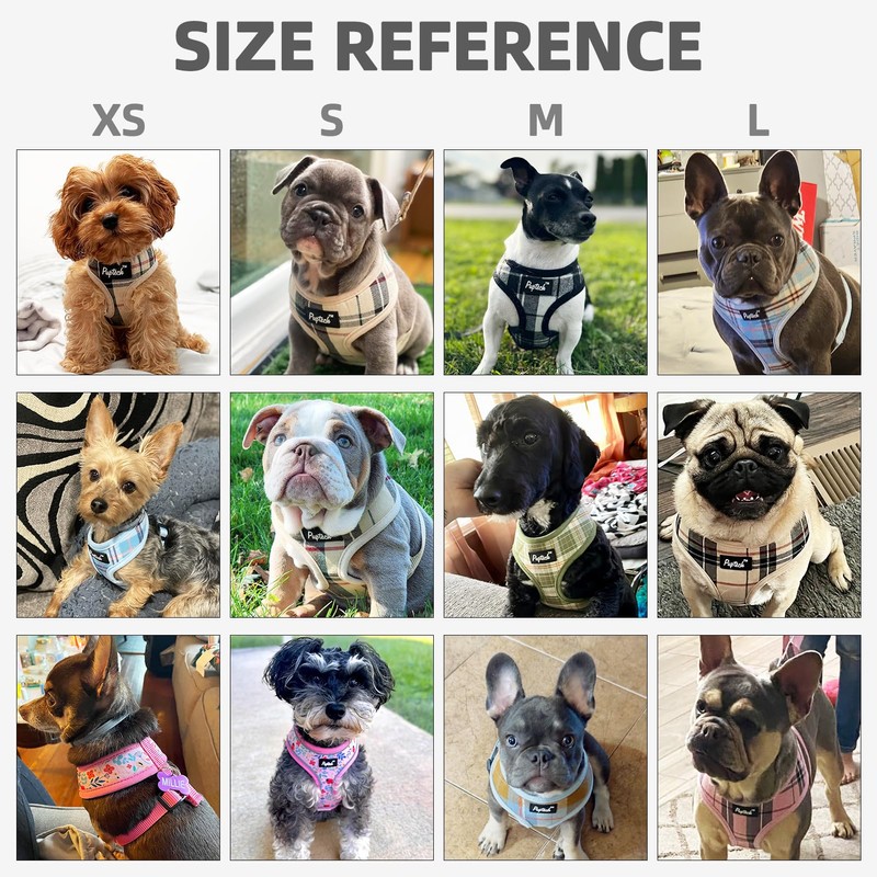 PUPTECK Soft Mesh Dog Harness Small Sized and Leash Set