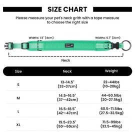 EXCELLENT ELITE SPANKER Premium Dog Collar Ultra Comfort Padded Dog Collar with Quick Release Super Adjustable for All Breeds (GRN-S)