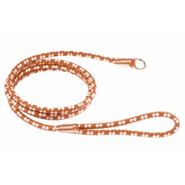 Alvalley Braided Slip Lead for Dogs 5ft - Thick