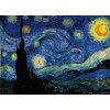 VON LILIENFELD Glasses Case Vincent van Gogh: Starry night Present