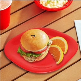 TrueCraftware- 11" x 11" Round Square Plate Passion Red Color Melamine- Dinner Plates Reusable Plate Dinner Dishes Plates Perfect for Dinner Dishes Dishwasher Safe Break-Resistant