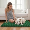 Dog Bed Mat for Crates - Soft & Cute Dog