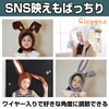 Cicogna Rabbit Headwear, Headwear, Rabbit Ears, Wire Included, Bunny, Fluffy,