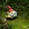 Top Collection Miniature Fairy Garden and Terrarium Gnome Hugging Frog