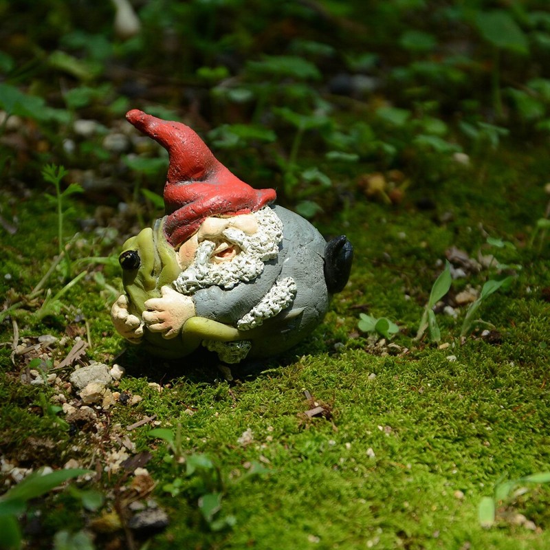 Top Collection Miniature Fairy Garden and Terrarium Gnome Hugging Frog