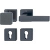 HOPPE Austin Fire Protection Interchangeable Set Door Handle + Door
