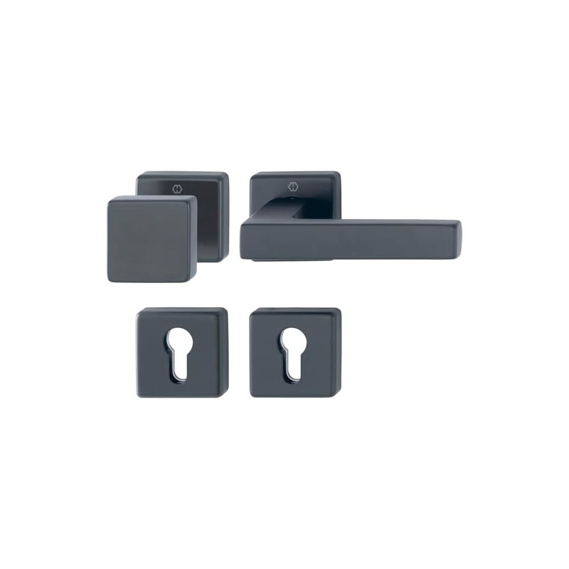 HOPPE Austin Fire Protection Interchangeable Set Door Handle + Door