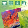 Juego de 10 Lienzos para Pintar,Bastidor De Algodón con 5
