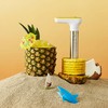 Twist'n Core Pineapple Corer Tool