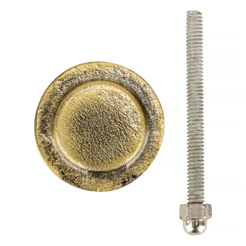 Front Door Knocker - Solid Brass Lion Head - Antique