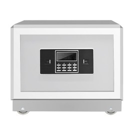 EconoHome Home Safe Heatproof Up to 1700°F - 0.6 Cu. Ft Interior Capacity with Smart Lock System, Master Key - Wall-Mounted Steel Fire Proof Safe for Home Documents, Cash, Jewelry, Documents, White