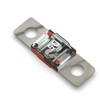 Auprotec Midi High Current Fuse / Screw Fuse / 40