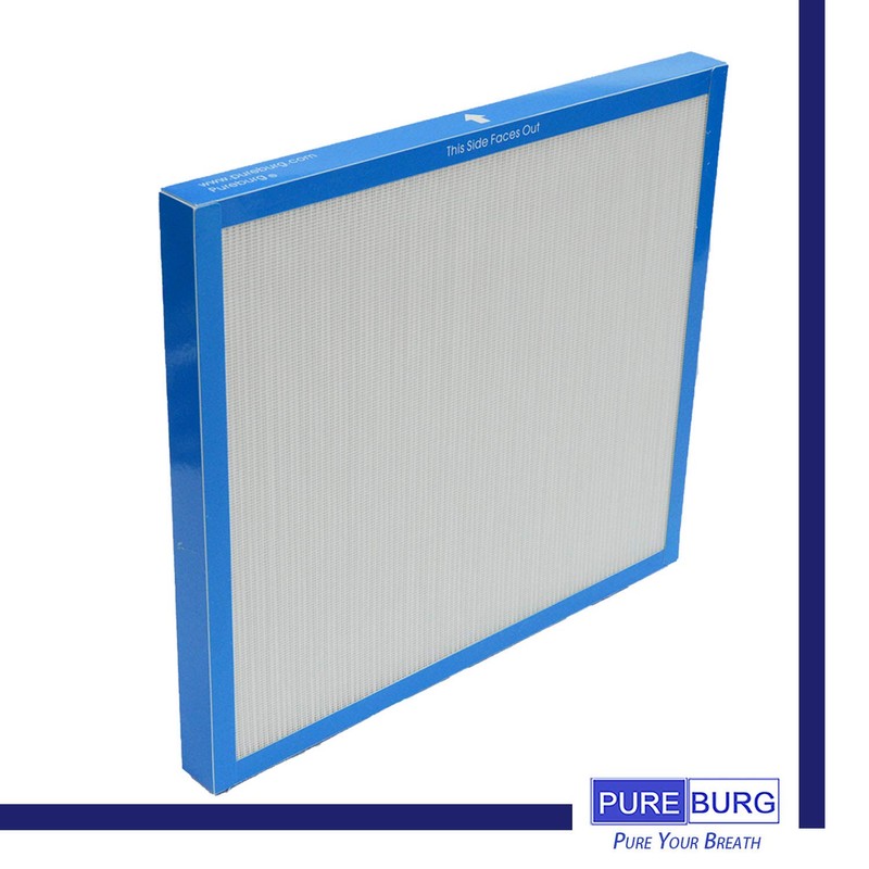 PUREBURG 2-Pack Replacement True HEPA Air Filter Compatible with HoMedics