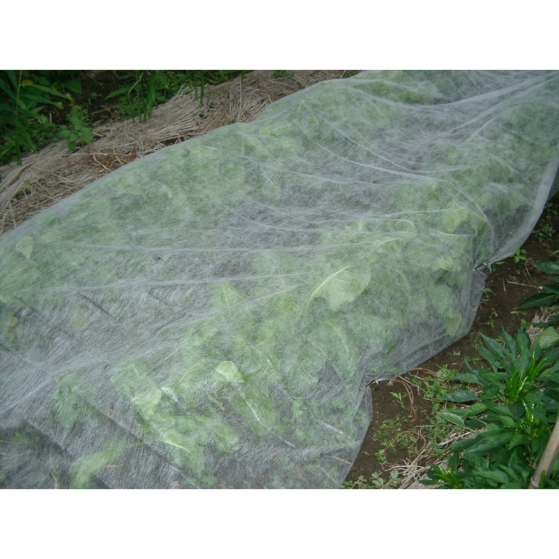 daio化成 Tunnel For It Ironing Grown Non-woven Heated 育苗 Seat