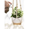 Mkono 3 Pack Macrame Plant Hangers Indoor Different Size Hanging