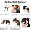 Muzzle for Dogs, Muzzle with Velcro Closure, Soft, Prevents Biting,