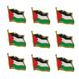 maiyixiang 9PCS Palestine Brooch Pin Palestinian National Flags Brooches for Suit Jacket Palestine National Enamel Lapel Badge Armband for Women Men