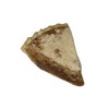 Bird-in-Hand Wet-Bottom 10" Shoofly Pie
