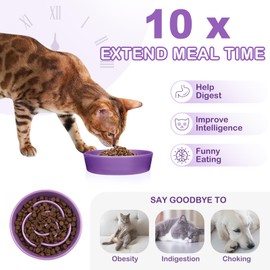 TRUVIC Ceramic Slow Feeder Dog Bowls, 0.6 Cup Cat Slow Feeder Bowls for Fast Eaters, Ceramic Dog Food Dish no Black Chin, Puzzle Bowl for Small Dogs and Cats, Purple