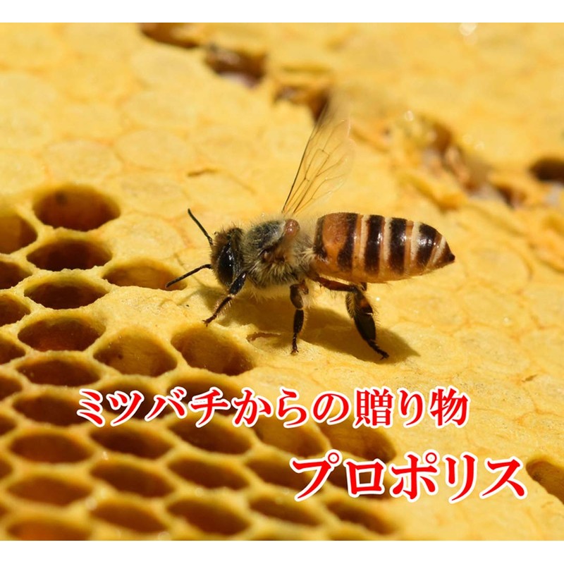 Fine Japan Fine Propolis Capsules, 150 Capsules, Formulated with Propolis