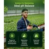 FoxFarm Cultivation Nation pH Down - Liquid Nutrient Solution Adjuster