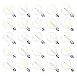Jslinter G40 LED String Light Replacement Bulbs, 5000K Daylight, 25 Pack, 1W, E12 Base, Shatterproof Glass, 60 Lumens