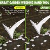 WORKPRO 12.5" Stainless Crack Weeder Crevice Weeding Tool Weed Removal