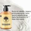 Elastina Para El Cabello,Peinado De Larga Duración Volumen Marroquí Hidratación