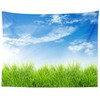 Loccor Fabric 9x6ft Blue Sky Backdrop Spring Nature Grass Blue