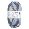 Ferner Wolle 4-Ply Sock Wool with Merino Wool, Mulesing-Free, 4-Ply