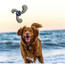 Kingfisher Soft and Squeaky Denim Frisbee Pet Toy