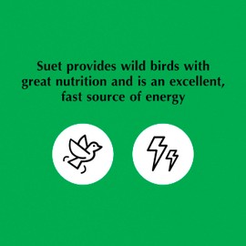 C&S Oriole Delight No Melt Suet Dough 11.75 Ounces 8 Pack