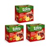 LOYD Ginger & Honey Flavor Tea JUICY LEMON - 20 x 3 Teabag Envelopes