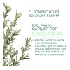 Hidrolato Anticaída Puro Fortalece Estimula 120