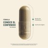 Life 360 Probióticos 200 Billones 120 Cápsulas 1100mg Por Porción