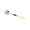 EME Napoleon teaspoon 2P, 1808787 ivory_1158956 gray / 이엠이 EME