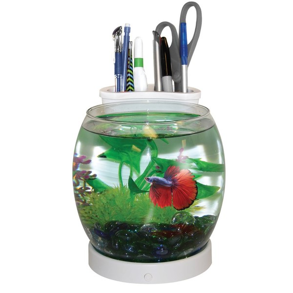 Elive Betta Fish Bowl / Betta Fish Tank with Planter, Small 0.75 Gallon Aquarium, LED Light Timer, White