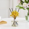 COCODOR Preserved Flower Reed Diffuser/White Jasmine/6.7oz/2Pack / Home Fragrance Scent