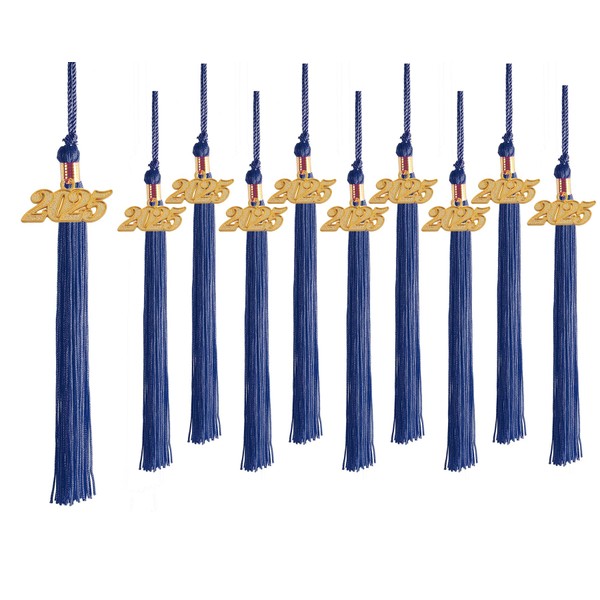 UIALECG 10 Pieces Graduation Tassels Whit Charm 2025 for Graduation