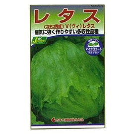 kaneko種苗 Gardening, Seeds KS300 Series Lettuce V (Vintage) Lettuce Vegetables 300 276
