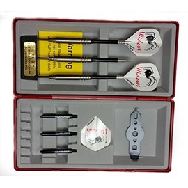 Silver Widow Fixed Point Tungsten Steel Tip Darts Smooth Barrel 20 Gram