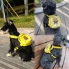 Dog Bag and Leash Set - Dog Bag Harness for