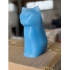 Hidden Skeleton Cat Candle (Blue)